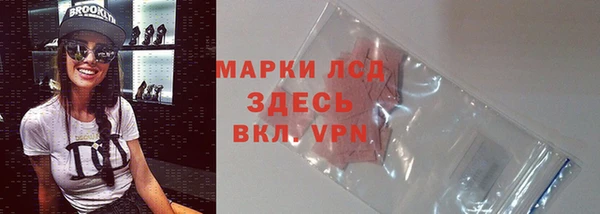 стафф Алексин