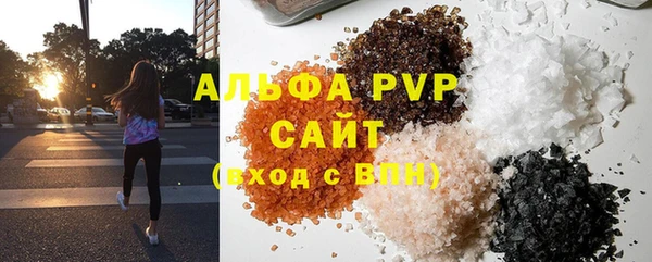 стафф Алексин