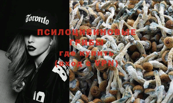 прущая мука Елизово