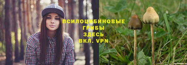 ПСИЛОЦИБИНОВЫЕ ГРИБЫ Алексеевка