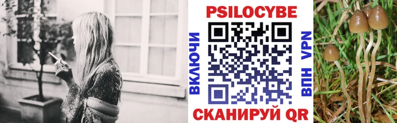 Псилоцибиновые грибы Cubensis Николаевск-на-Амуре